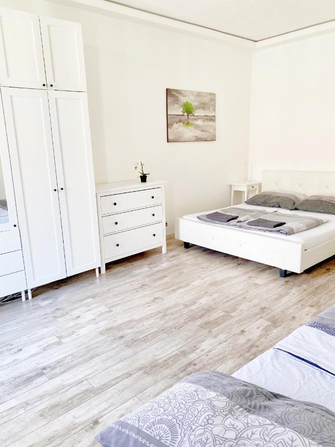 Luxury Apartment In The Centre Ac Parking Garden Budapest Luaran gambar